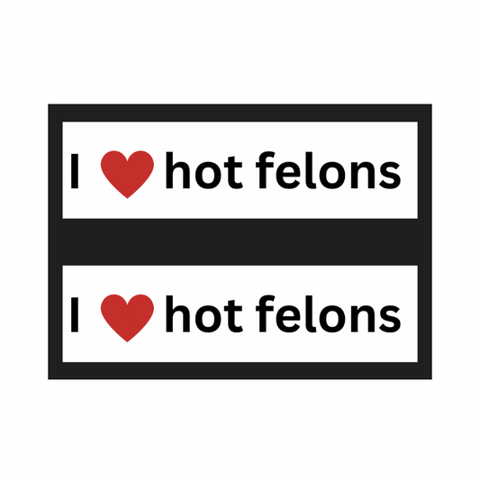 Hot Felon Bumper Sticker 2 Pack