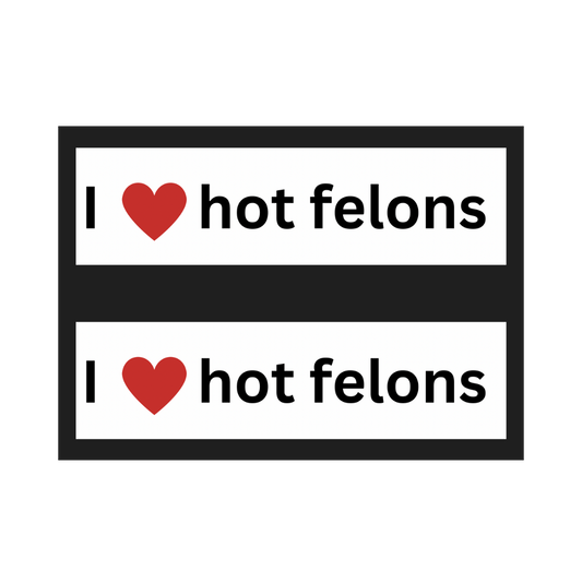 Hot Felon Bumper Sticker 2 Pack